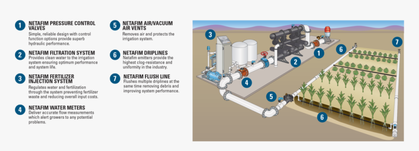 What Are The Main Components Of A Drip Irrigation System, HD Png Download
