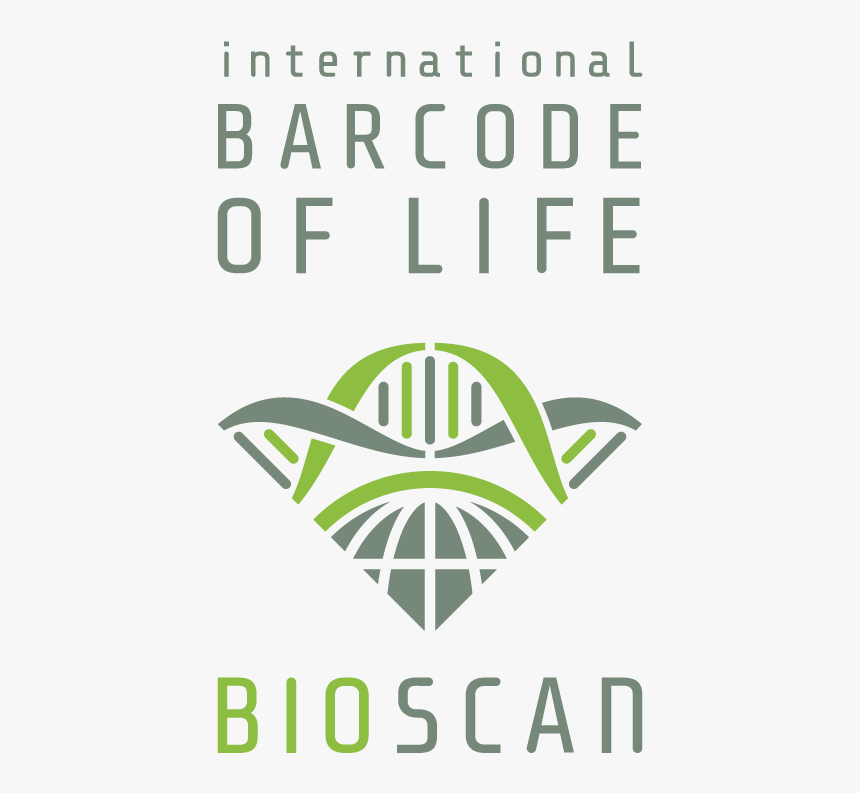 Bar Code Png, Transparent Png