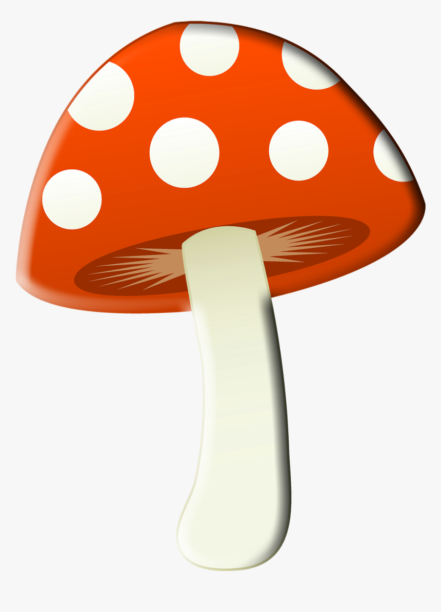 Transparent Free Fairytale Clipart, HD Png Download