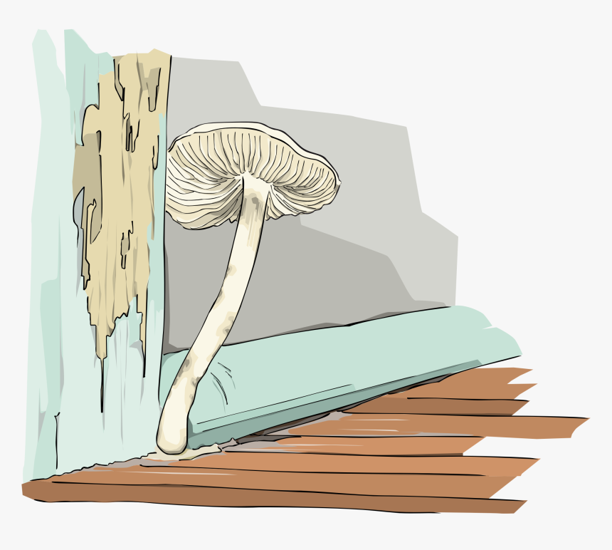 Champigon, Mushroom Clip Arts, HD Png Download