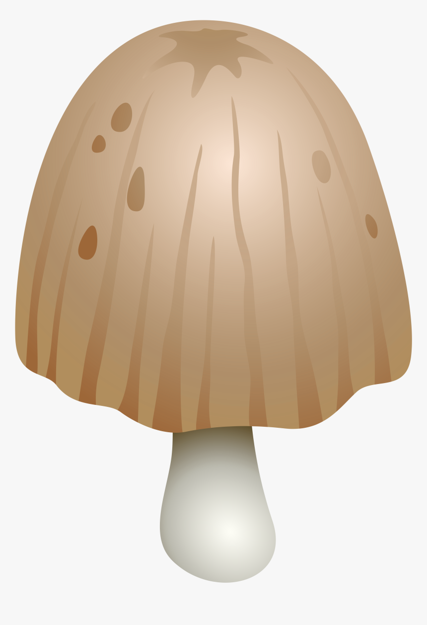 Coprinus Comatus Mushroom Png Clipart, Transparent Png