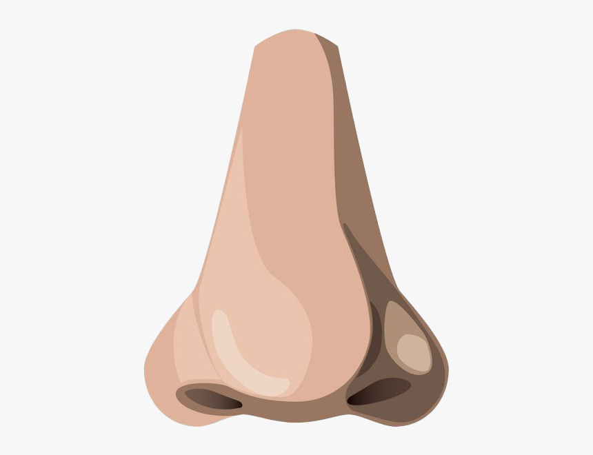 Nose Png, Transparent Png