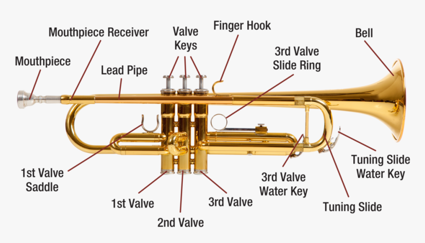 Trumpet Diagram Image, HD Png Download
