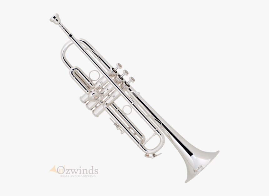 Bach Stradivarius Lt180s77 New York\, HD Png Download