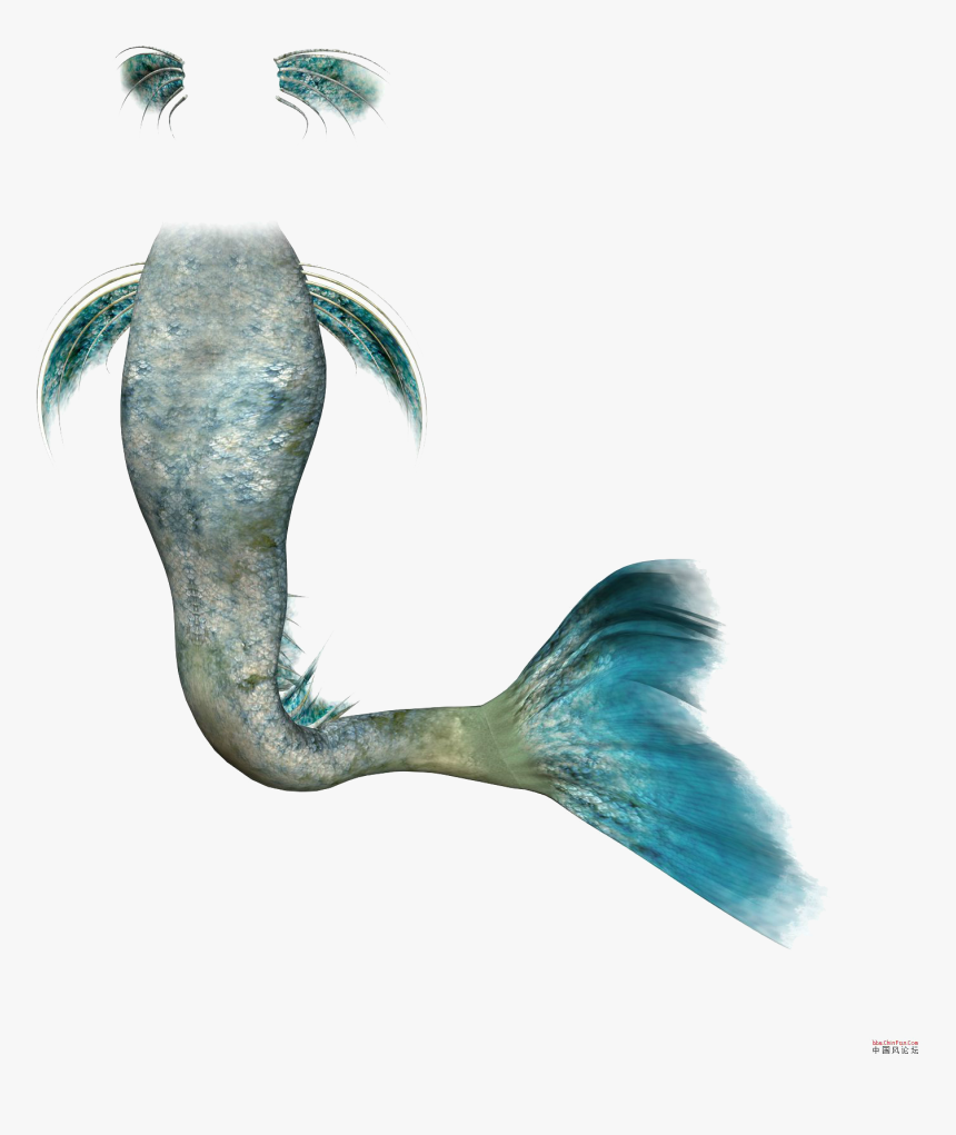 Mermaid Rusalka Clip Art, HD Png Download