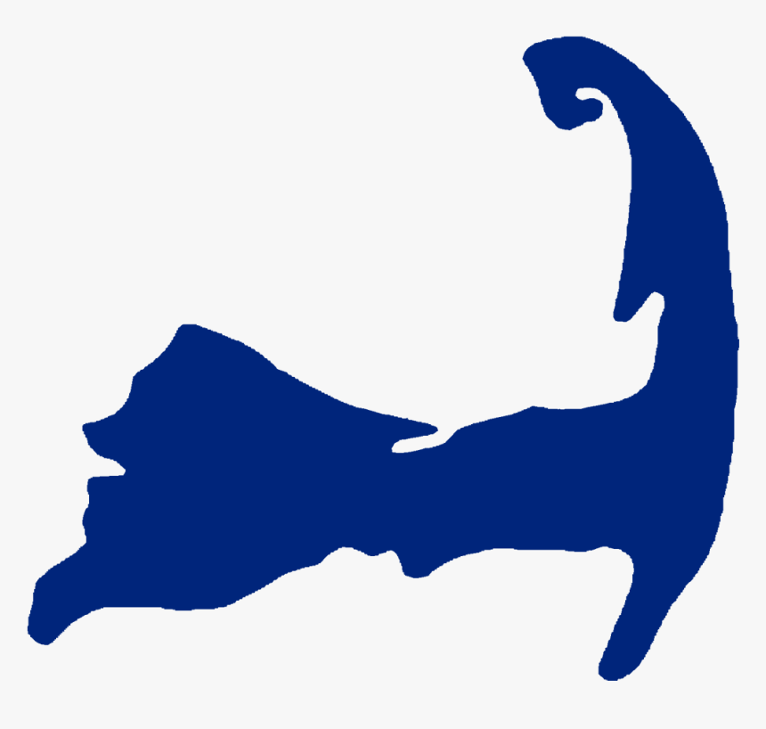 Top Images For Mermaid Tail Designs On Picsunday, HD Png Download