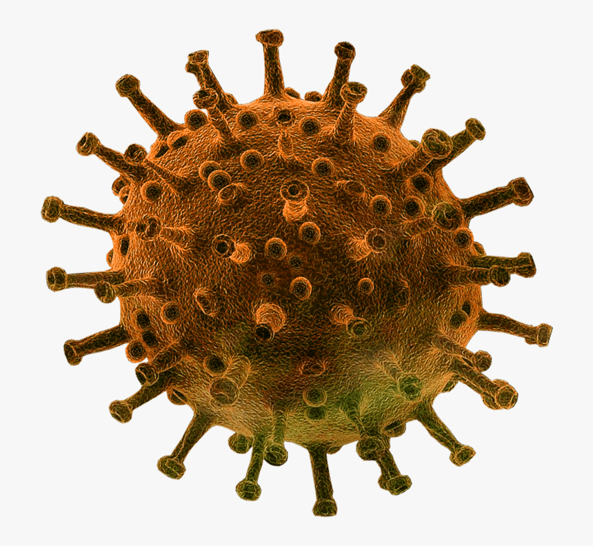 Virus Transparent Png Image, Png Download