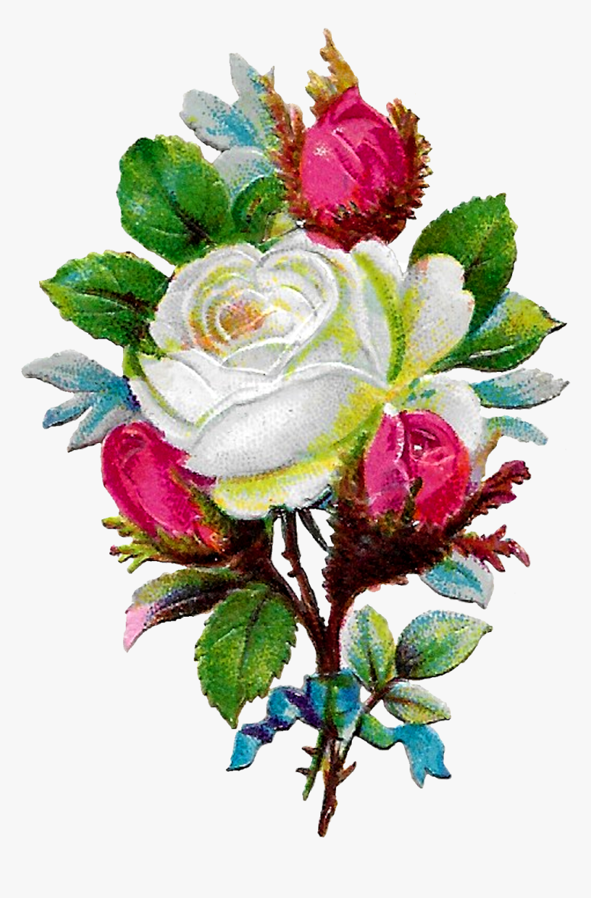 Digital White Rose Clip Art Download Png, Transparent Png