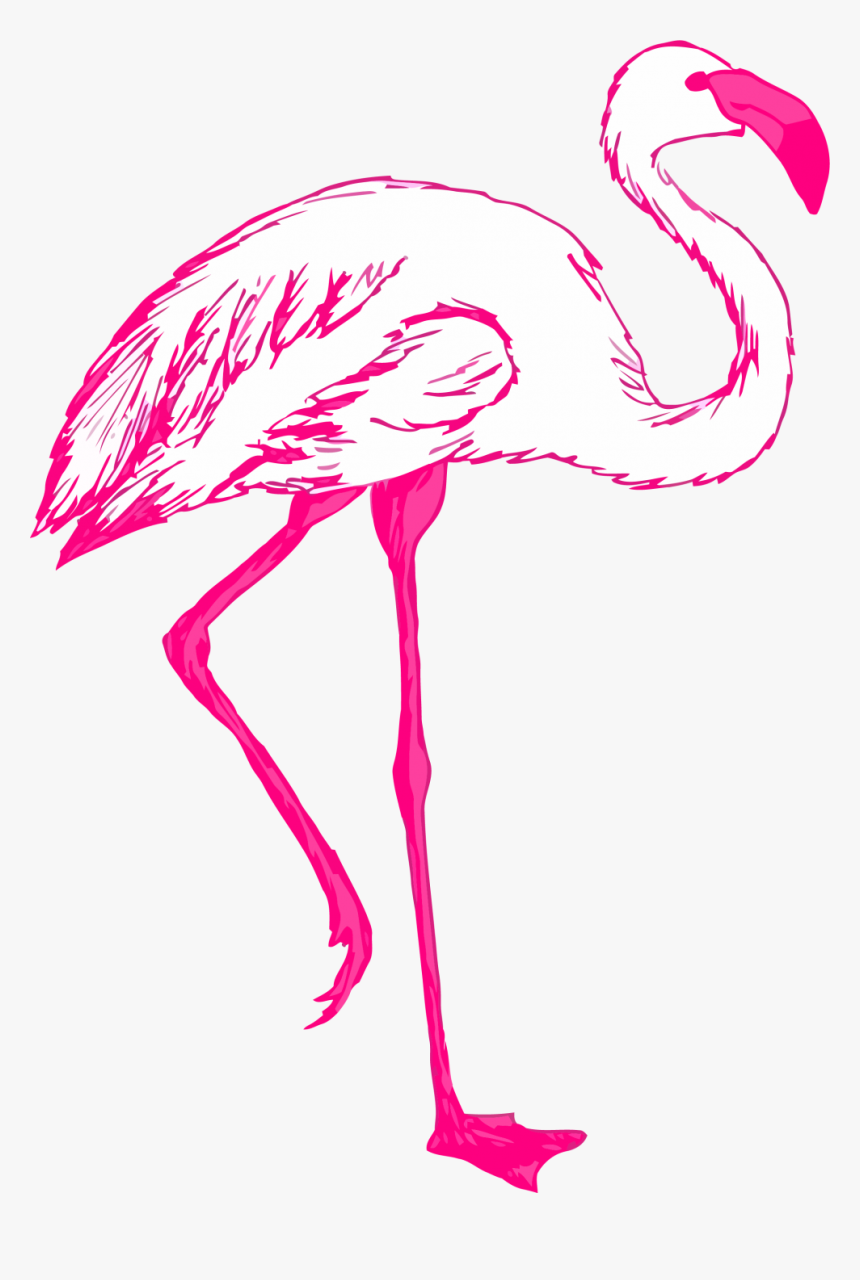 Feathers Png, Transparent Png