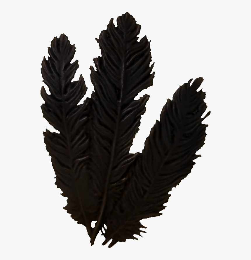 Hagraven Feathers Clipart , Png Download, Transparent Png