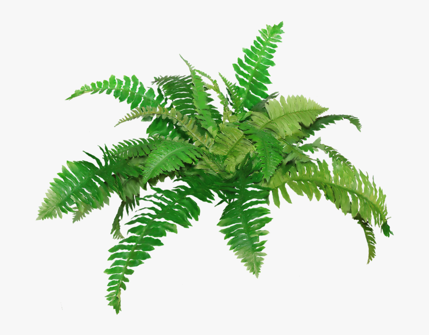 Thumb Image, HD Png Download