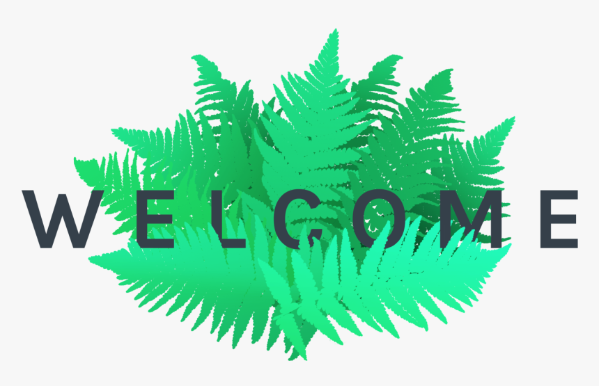 Fern Png, Transparent Png