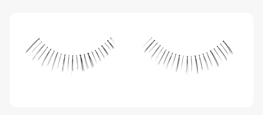 Eyelashes Graphic Png, Transparent Png