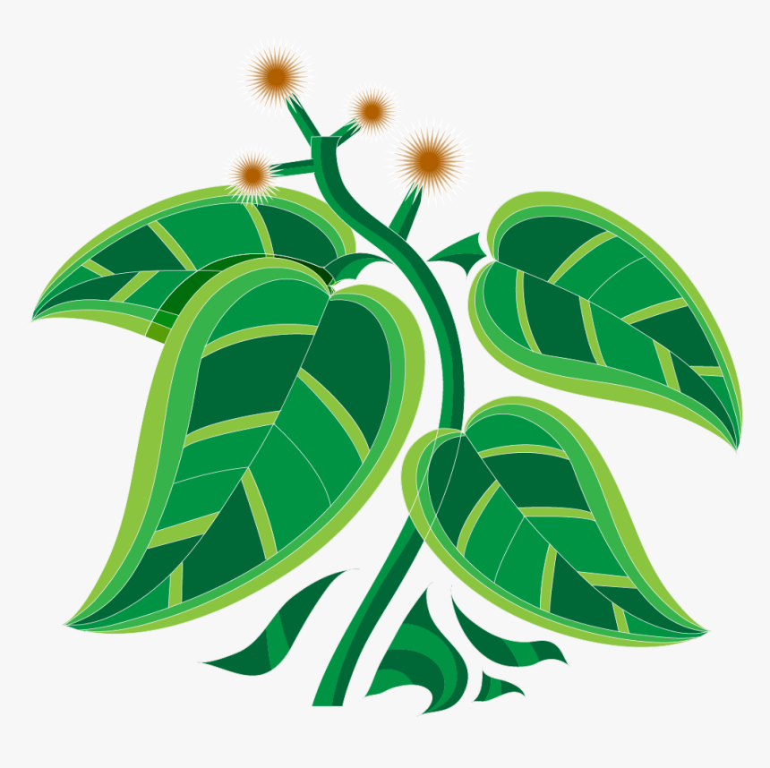 Pot Leaf Png, Transparent Png