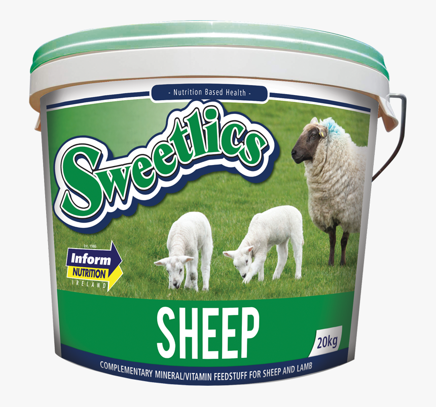 Sheep Png, Transparent Png