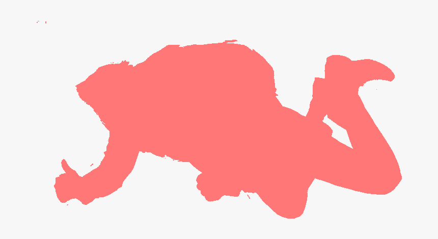 Fly Png, Transparent Png