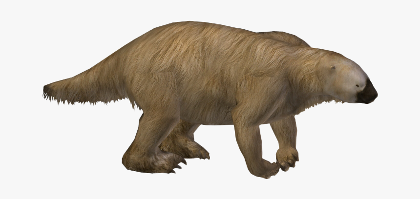 Toed Sloth Png Transparent Image, Png Download