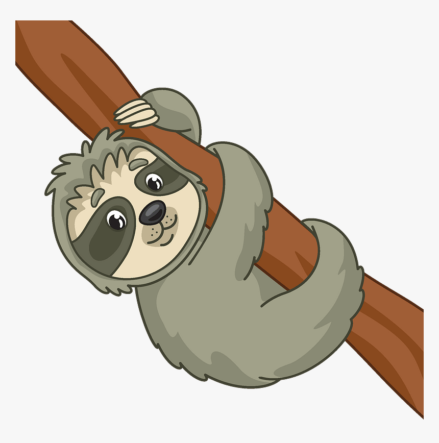 Sloth Clipart, HD Png Download