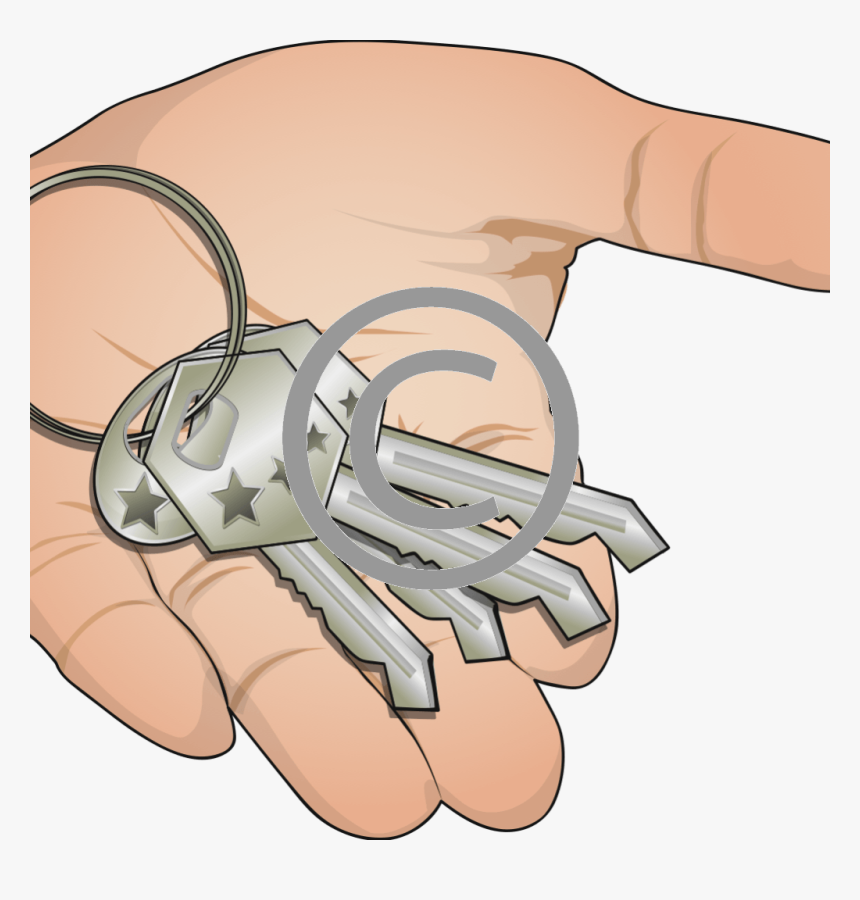Palm Png, Transparent Png