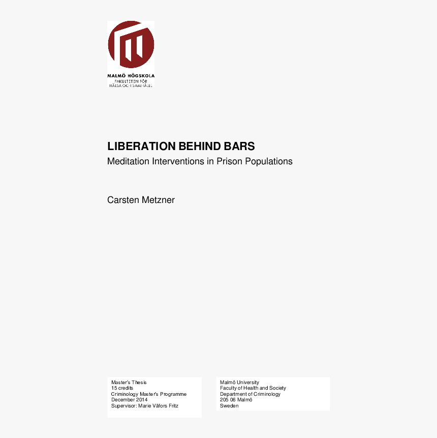 Prison Bars Png, Transparent Png