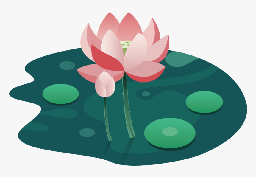 Lotus Png, Transparent Png