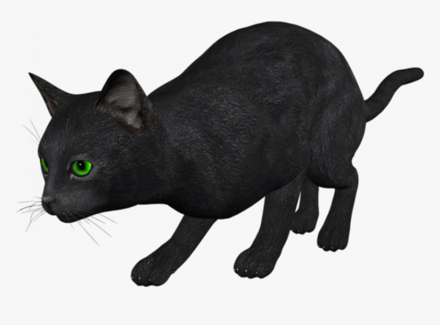 Black Cat Png, Transparent Png
