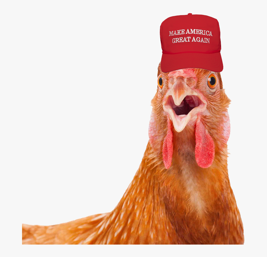 2mib, 840x768, Rooster With Maga Hat, HD Png Download
