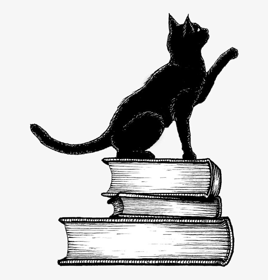 Black Cat Png, Transparent Png