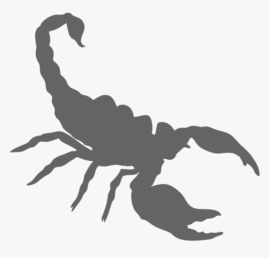 Scorpion Png , Png Download, Transparent Png