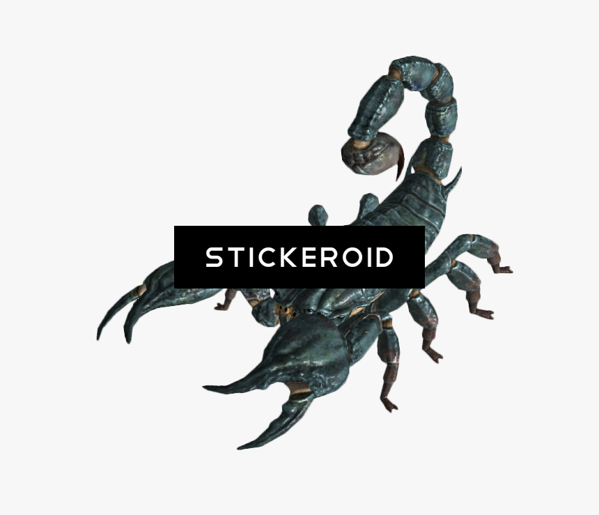 Scorpion Insects Scorpions, HD Png Download