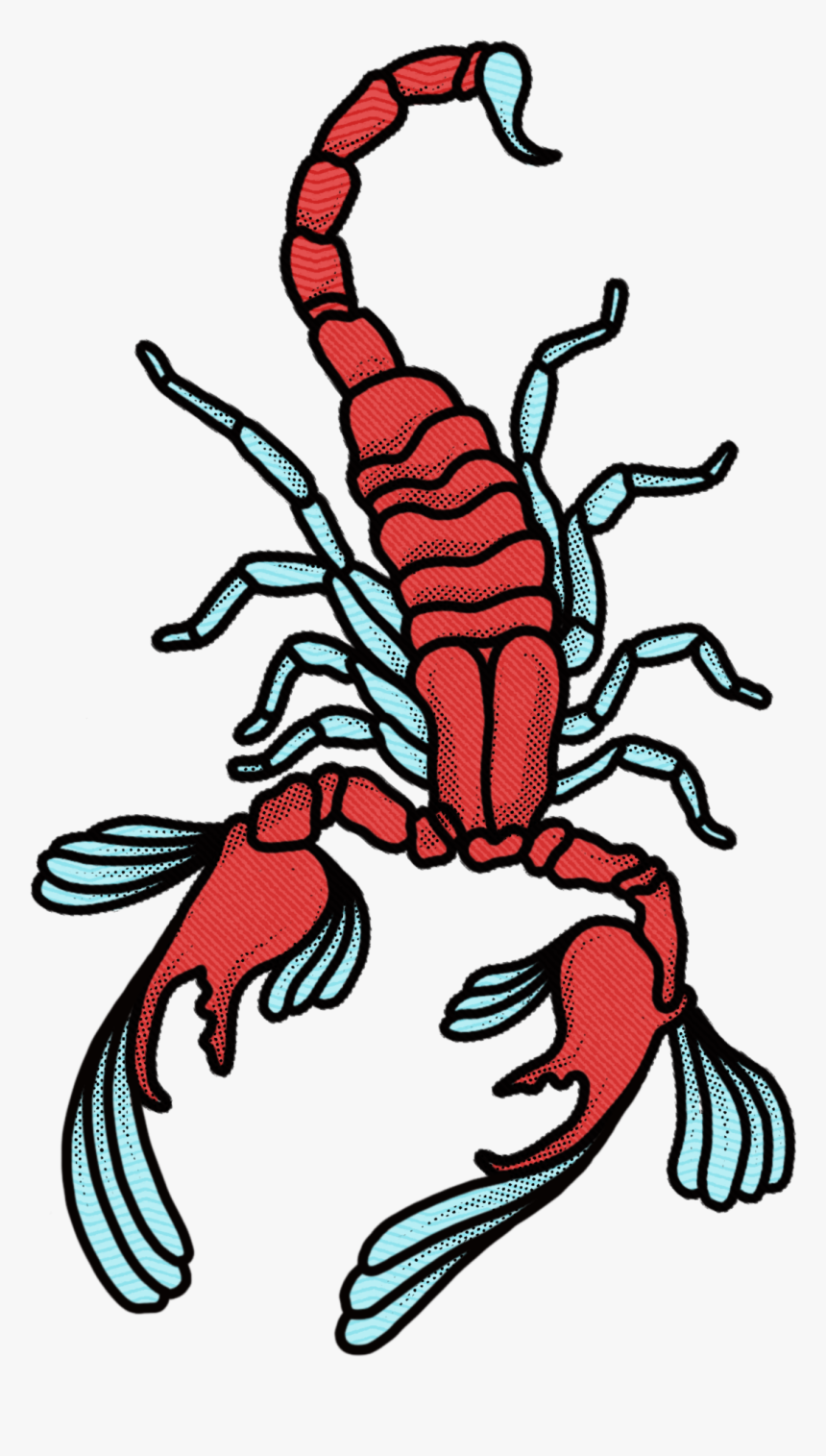 Scorpion , Png Download, Transparent Png