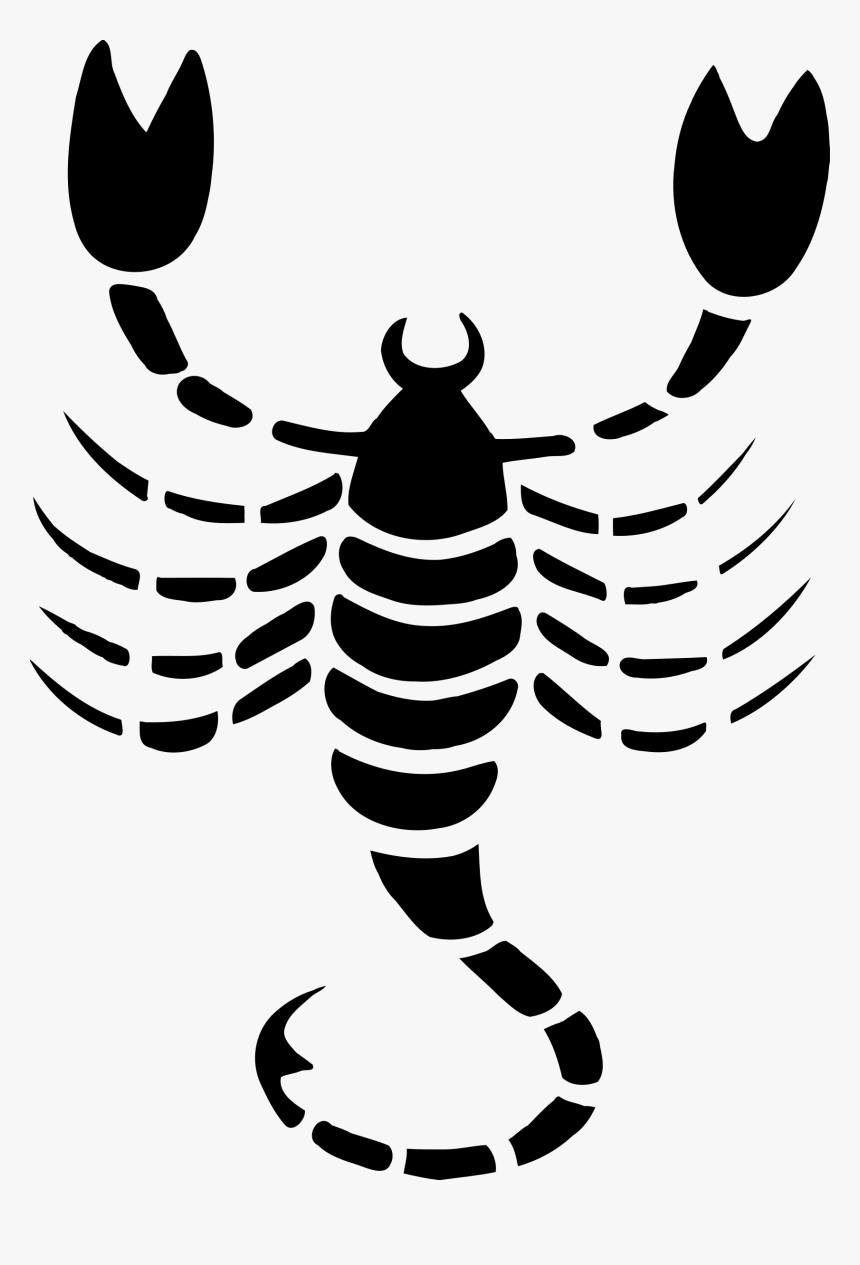 Scorpio Drawing 4 Clip Arts, HD Png Download