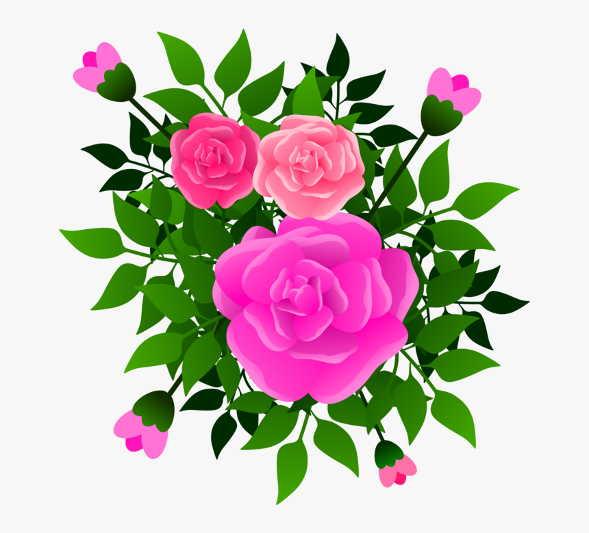 Pink,flower,prickly Rose, HD Png Download