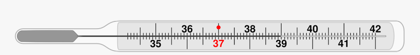 Thermometer Png, Transparent Png
