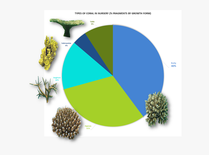 Graph Png, Transparent Png