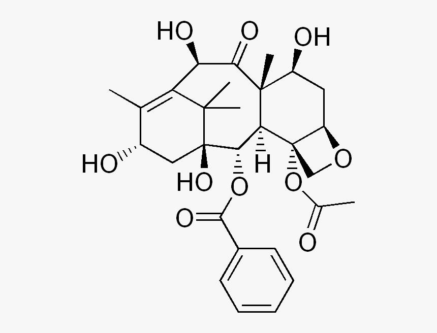 File - Deacetylbaccatin, HD Png Download