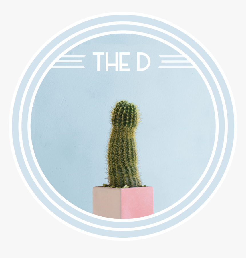 The D Circle 4, HD Png Download