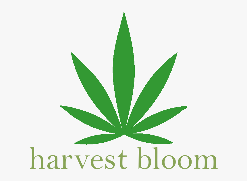Harvest Bloom Medical Marijuana Delivery Service [interview], HD Png Download