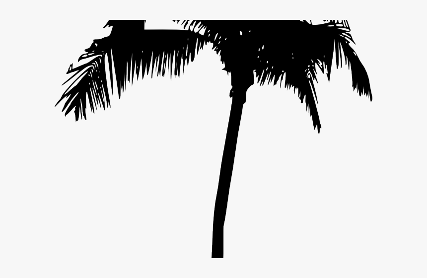 Palm Tree Silhouette Png , Png Download, Transparent Png