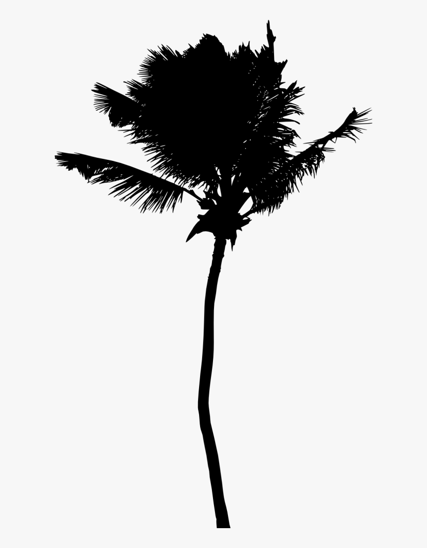 Palm Tree Silhouette, HD Png Download