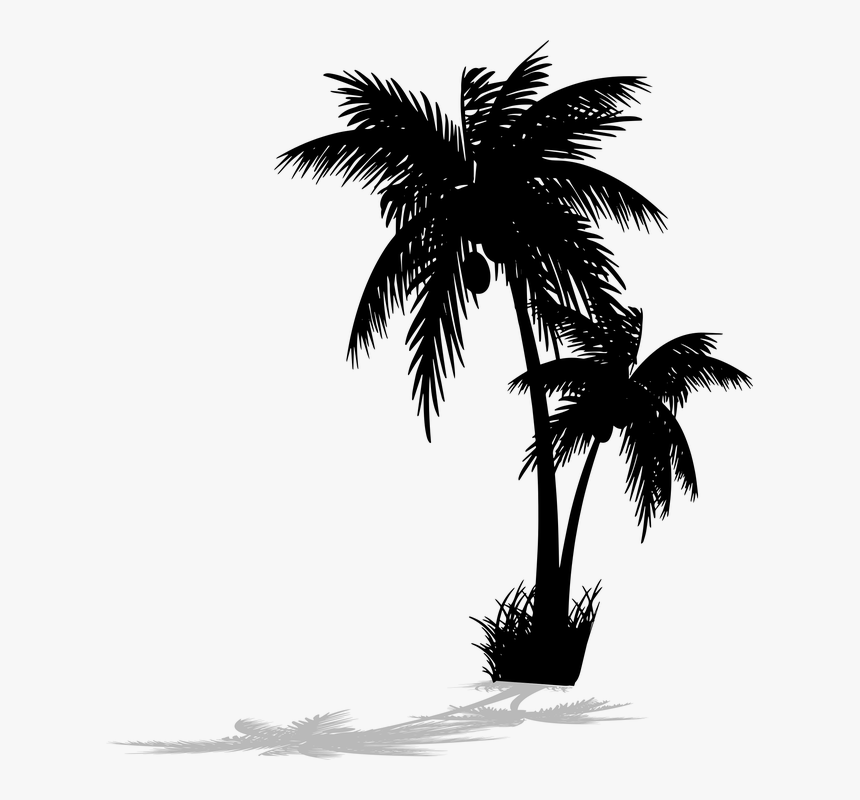 Palm Tree Silhouette Png, Transparent Png