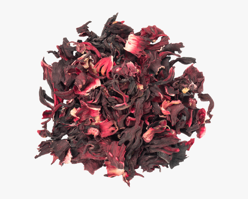 Hibiscus Png, Transparent Png