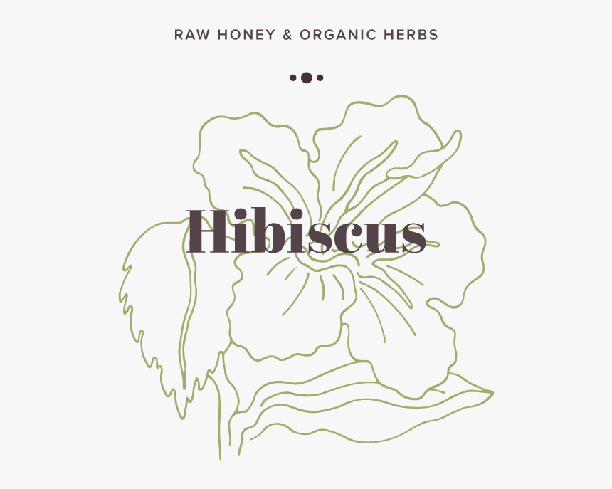 Hibiscus, HD Png Download