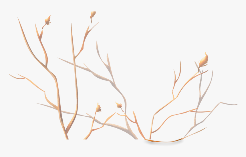 Raindrop Png, Transparent Png