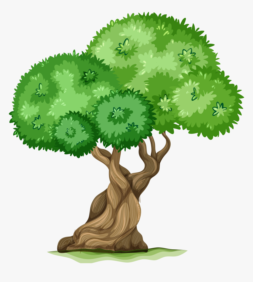 Tree Clipart Png , Png Download, Transparent Png