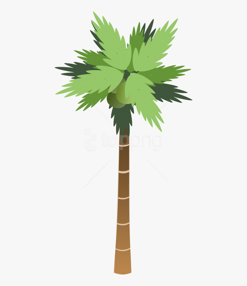 Free Png Download Palm Tree Clipart Png Photo Png Images, Transparent Png