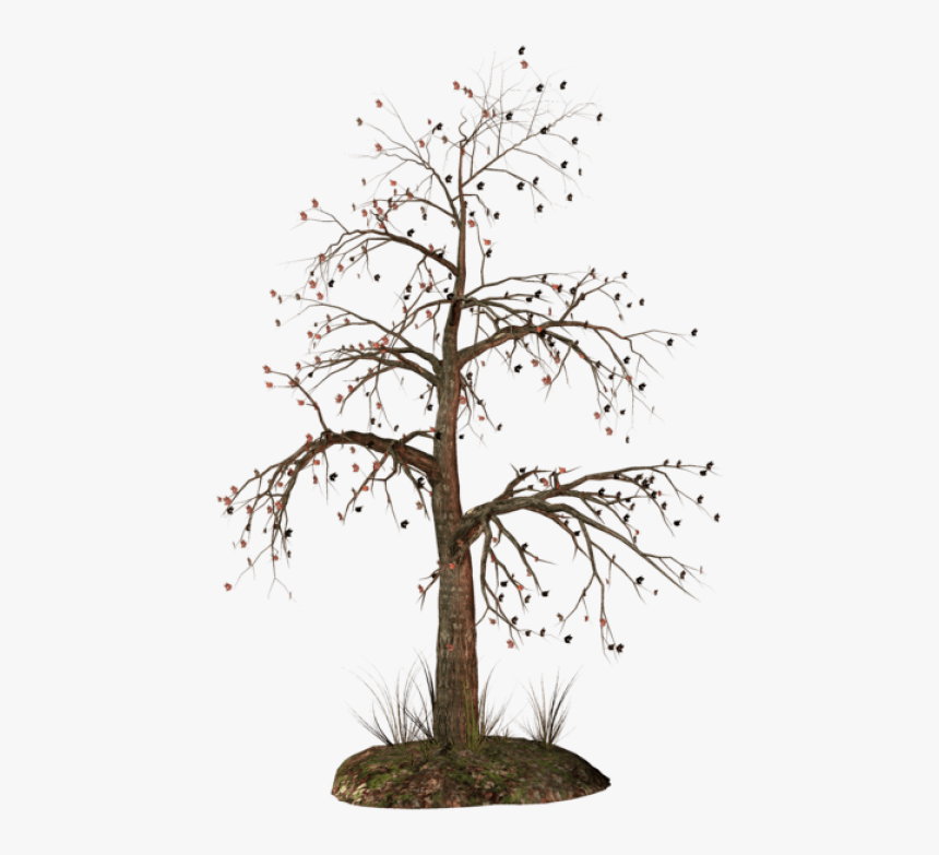 Dead Tree Png, Transparent Png