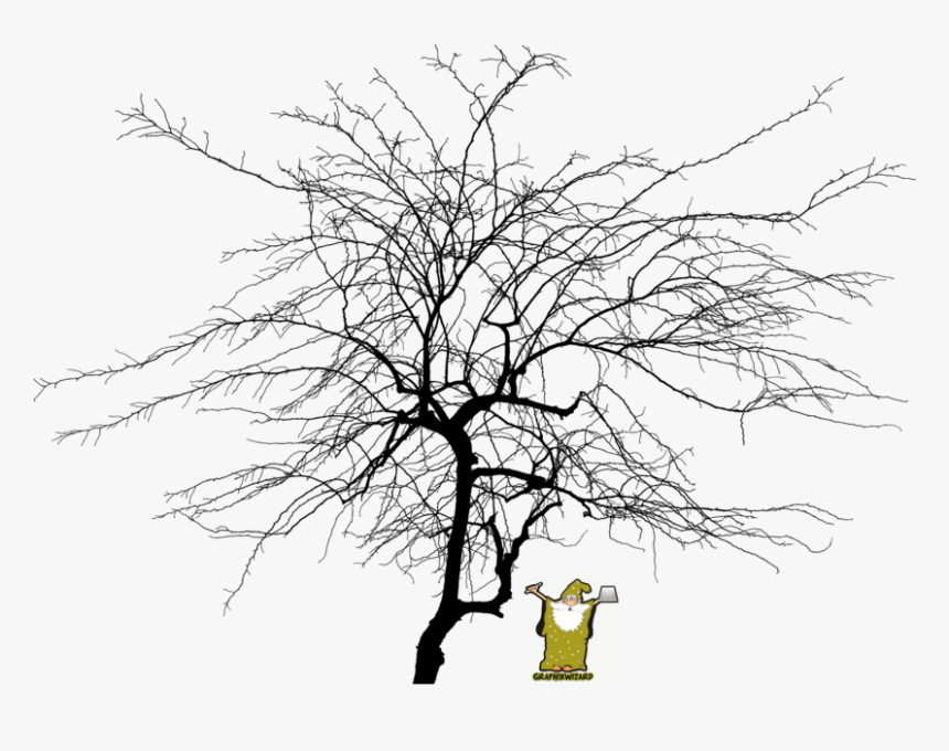 Dead Tree Png, Transparent Png