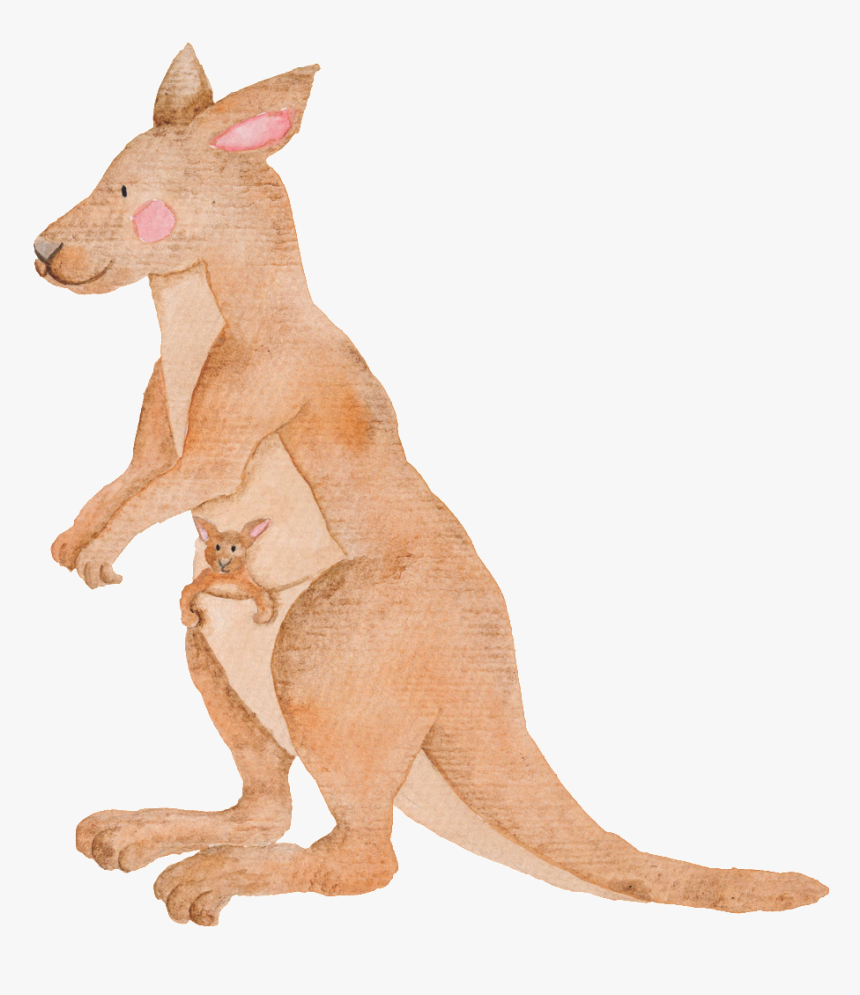 Hand Painted Kangaroo Transparent Animal Png, Png Download