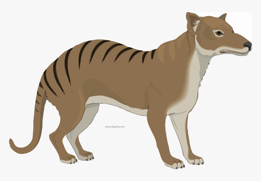 Animal Png, Transparent Png